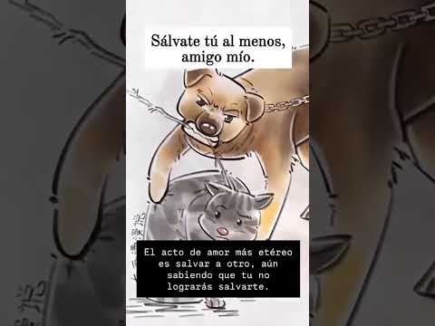 Sálvate tu amigo 😭 #triste #sad