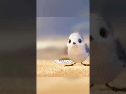 La primera lección de la vida es la independencia.#viralvideo #peliculas