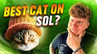 CATWIFHAT $CWIF Review | Can This Beta Play Reach To DOGWIFHAT? (The Cat Is BACK)