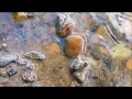Rock Erosion and Properties