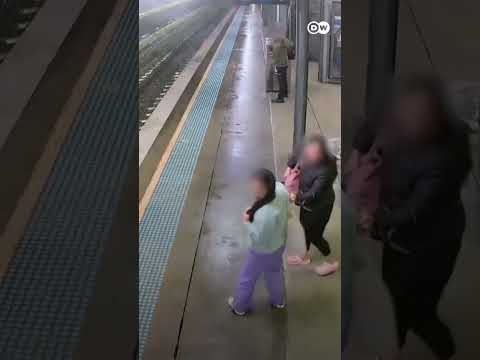 Horse on the loose in Australia | DW News