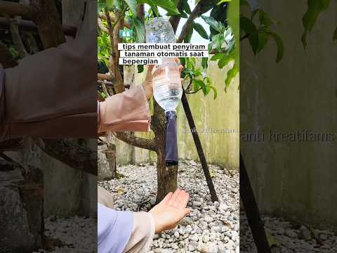 tips agar tanaman tetap terhidrasi selama bepergian #tipsandtricks #lifehacks #trending