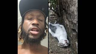 How I sleep after thinking about everyday's bills in a parent's life🤣 #cat #how #sleep #bills #life