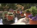 Conservation and Biodiversity in Asheville