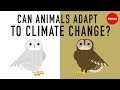 Adapting Wildlife: Evolution in the Face of Climate Change