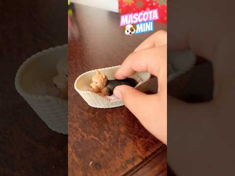 Mini mascota ๐ถ#shorts #mauletv #shortsdivertidos #youtubeshorts #influencer #divertidos