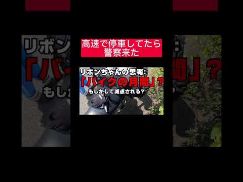 【TikTok100万回再生】警察と記念撮影 #バイク #ツーリング #vtr250 #警察