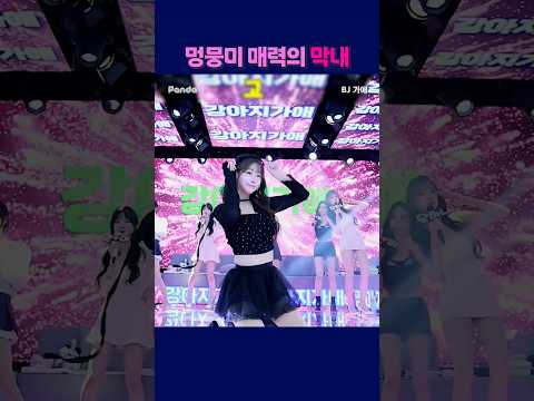 멍뭉미 매력의 막내 #팬더티비 #강남기획 #엑셀방송 #여캠 #가애 #막내 멍뭉미 매력의 막내 #팬더티비 #강남기획 #엑셀방송 #여캠 #가애 #막내