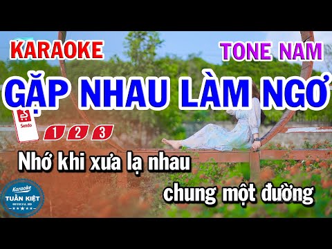 Karaoke Gặp Nhau Làm Ngơ Tone Nam Nhạc Sống Hay