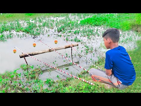 Best Amazing Hook Fishing Video 2024 ~ Fishing With Hook ~ Traditional Hook Fishing ~ Рыбалка Видео