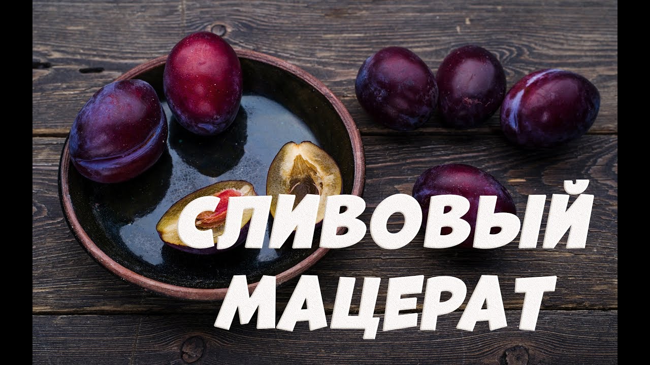 Сливовый мацерат легко и просто. Сливовая водка