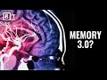 Understanding Brain Development and Education