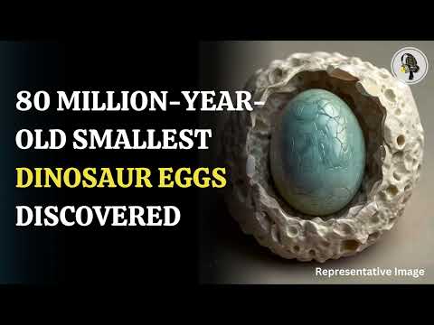 Smallest Dinosaur Eggs Found: 80-Million-Year Discovery  |  WION Podcast