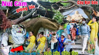 Chuyện gì đây mưa giông cây bật gốc Núi Cấm điêu tàn nhà cửa hết hang con gì dưới hang chạy ra