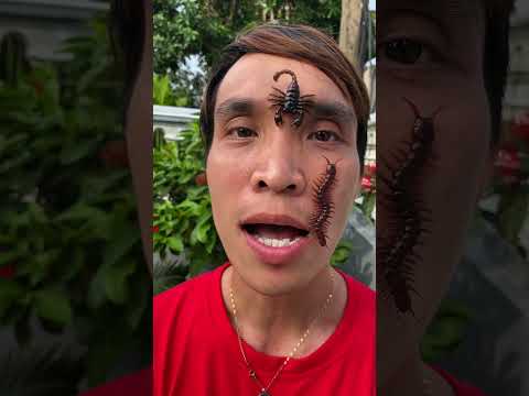 Ah oh😰😰| Kem Vlog #shorts