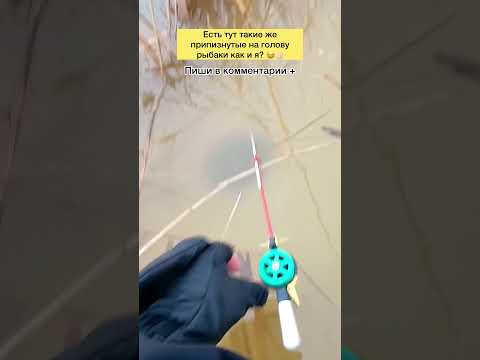 Пиши + 🔥😄 #рыбалка #рыбак #сом #улов #карп #карась #щука #судак #фидер #спиннинг #ловлящуки
