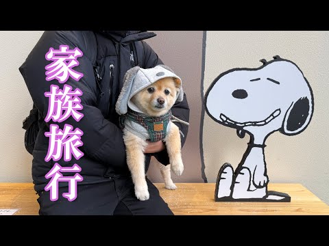 一緒に旅行に行けるのが嬉しくて、愛犬がこうなりました…笑