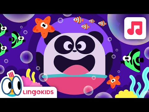 AQUATIC ANIMALS SONG 🐬🎶| At the Aquarium Song for kids | Lingokids