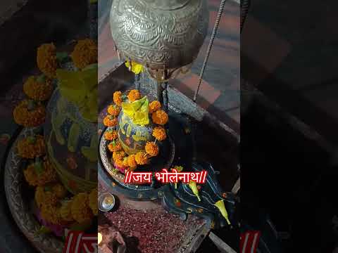 Jay Mahadev| you tube short # you tube shots # Yt short # yt shorts # bhakti status #