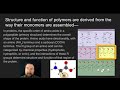 Biological Molecules and Their Functions