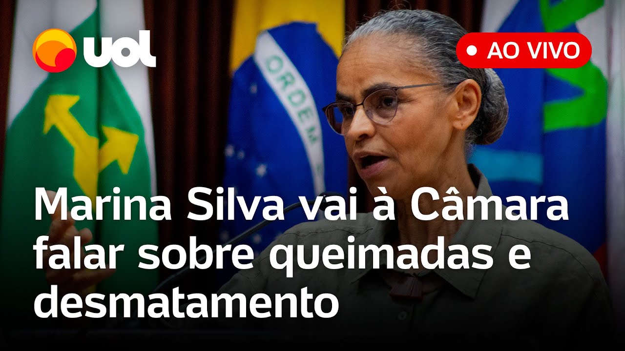 Marina Silva fala ao vivo em comissão da Câmara sobre queimadas, desmatamento e mais; assista