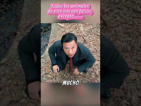 Todos los animales de este zoo son falsos, excepto ...... #shorts