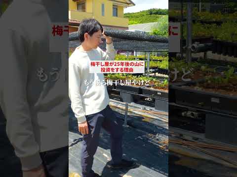 梅干し屋が大量のどんぐりを育てる理由　#農業  #梅仕事  #どんぐり