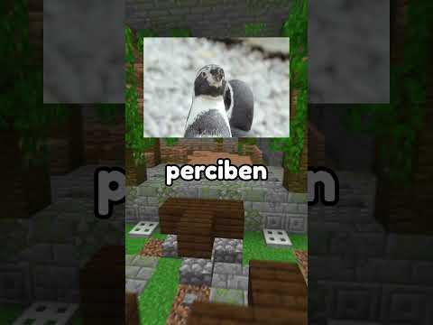 ¿Cómo nos ven los animales? 😯