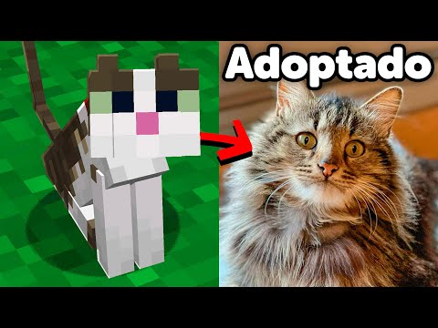 Adopté un Gato y lo Añadí a Mi Mundo de Minecraft