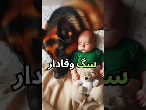 سگ و نوزاد | The baby and the dog#دانستنی #persian #shorts