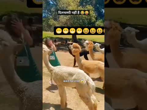 short ..#video.#viral.#😃😃