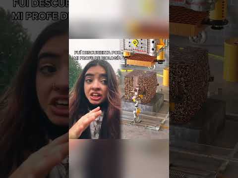 Responder a @catiledesma ke vergüenza la verda