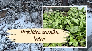 Skleník Leden 2023