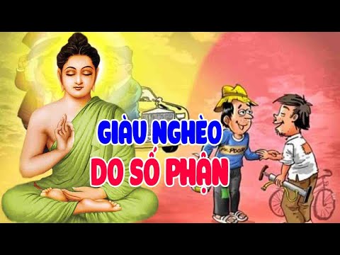 Giàu Nghèo Do Số Mệnh"Hay Đổ Lỗi Cho Người Khác"Tâm Giác Ngộ