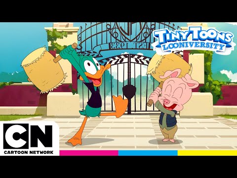 Tiny Toons: Looniversidad | Sustitución | Cartoon Network