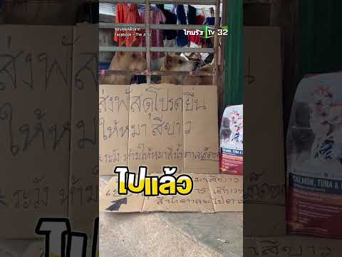 ไวรัล 2 ล้านวิว!ระบบหลังบ้านแน่นมากโปรดส่งพัสดุให้หมาสีขาวเพียงแค่เขย่าถุงอาหารหมาน้ำตาลจะไปตามมาให้