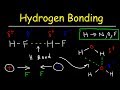 Understanding Hydrogen Bonds