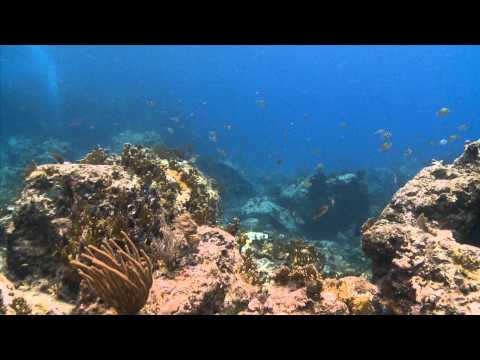 Diving Near St. Thomas