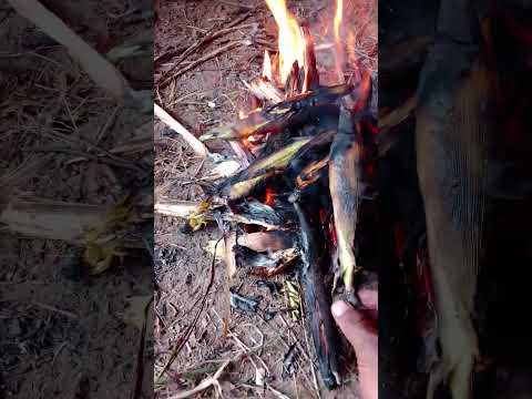 iPhone 12 .120fps#1million