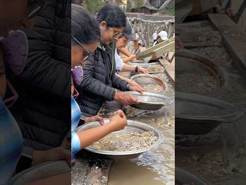 ഭാര്യയുടെ കൂളിംഗ് ഗ്ലാസ് വെച്ചുള്ള സ്വർണ്ണഖനനം #trendingnow #australianlife #youtubeshorts.