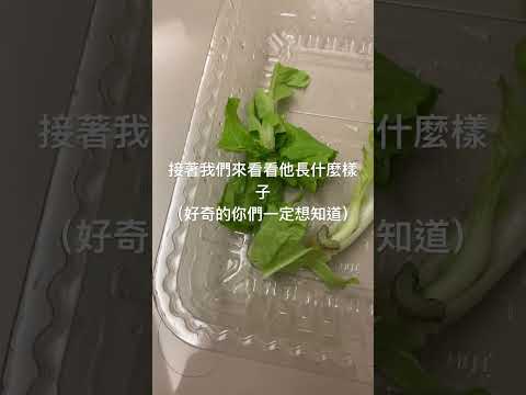 特別「提」外篇系列（￼第五集）￼￼