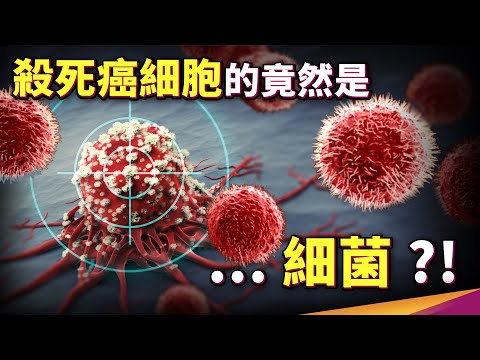 抗癌的未來寄託在「細菌」上？細菌為什麼能消滅癌細胞？【研之有物】 - YouTube(10:49)