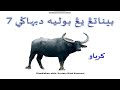 Qurban Practices and Regulations