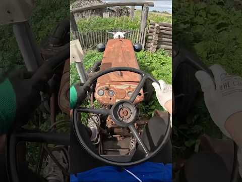 Борьба с металической коробкой окончена #влог #shorts #vlog