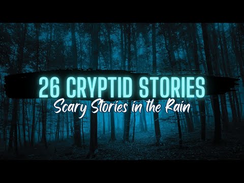 🎵 26 Cryptid Stories in the Rain WITH MUSIC