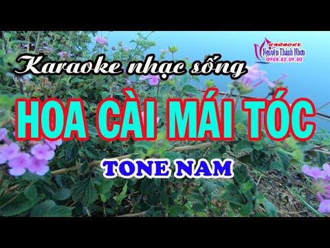 Karaoke nhạc sống HOA CÀI MÁI TÓC – TONE NAM [ Cực sung ]