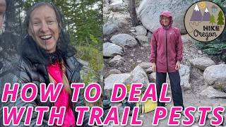 How To Avoid Ticks, Mosquitoes And Other Trail Pests On Every Hike!