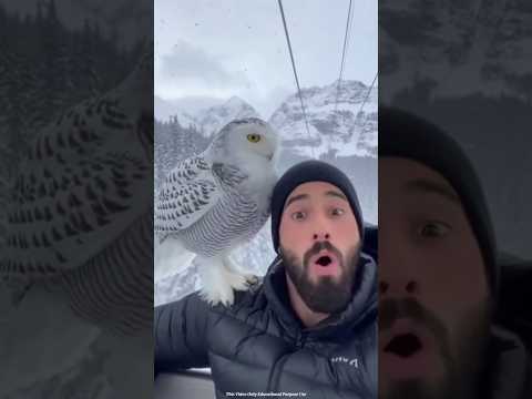 When a Predator Chooses You as a Branch! #facts #ytshorts #trending