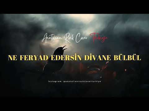 Ne Feryad Edersin Divane Bülbül / Anatolian Rock Cover Türkiye