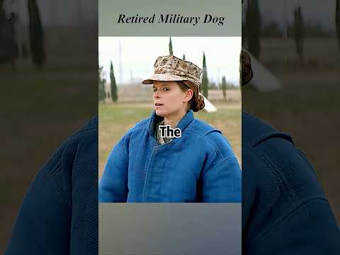Female soldier and her military dog became good friends.#war #biography #movieclips